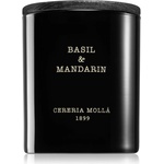 Cereria Mollá Basil & Mandarin 230 g
