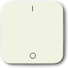 Busch-Jaeger 2CKA001731A0231