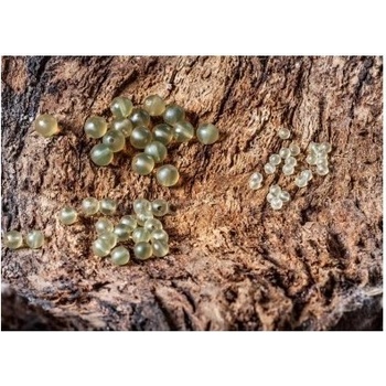 Extra carp Rubber Beads 4mm