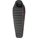Patizon R 600