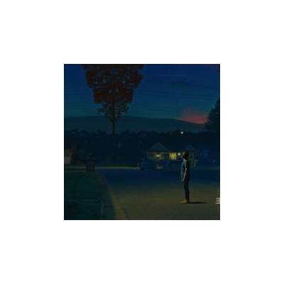 Kinfolk 2: See the Birds - Nate Smith LP