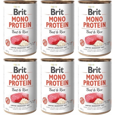 Brit Mono Protein Beef & Rice 6 x 400 g