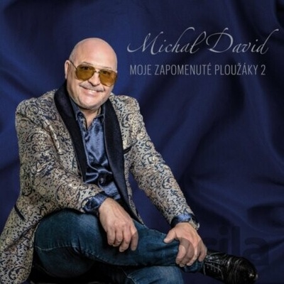 Michal David: Moje zapomenuté ploužáky LP - Michal David