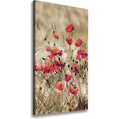 Vertikálny foto obraz canvas Poľné kvety 50x100 cm
