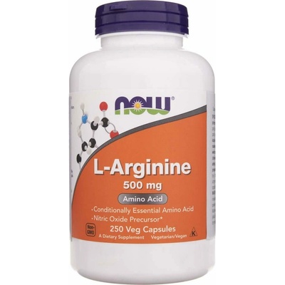 Now Foods Foods Acetyl-L-Karnitin ALC 500 mg 100 veg kapslí