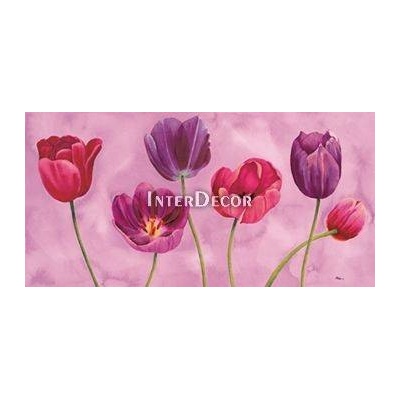 Fialové tulipány 1 deska 100x50