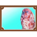 Ostatní pomůcky pro psy Dafiko Tabulka Kavalier king charles španěl