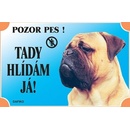 Dafiko Tabulka bullmastif