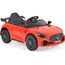 Moni Mercedes AMG GTR (109229/30)