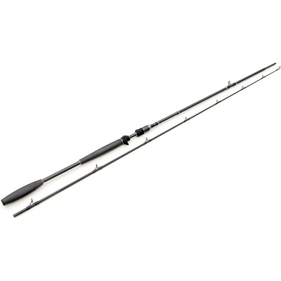 Westin W10 Powercast-T W1001-0802-XXH · 240 cm · 40 - 150 g · XXH · 2 diely