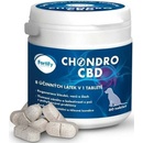 Fortify Chondro CBD 60 tbl