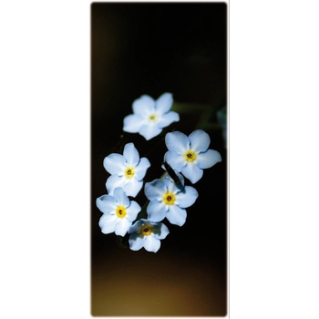 Kondolence (P021)