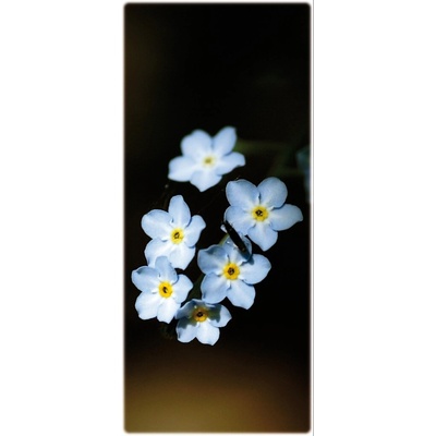 Kondolence (P021)