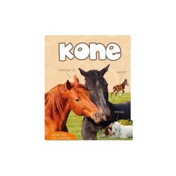 Kone