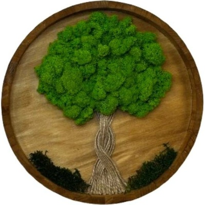 Mechový obraz - živý kruh Velikost rámu: 40cm