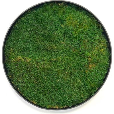 Machový obraz - Kruh s plochý machom Veľkosť rámu: 40cm