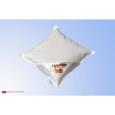 Termop vankúš Classic perie/páper 40x40