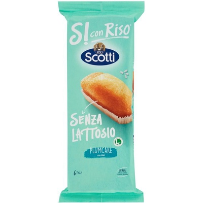 Riso Scotti Bezlaktózové Slivkové Koláče 190 g