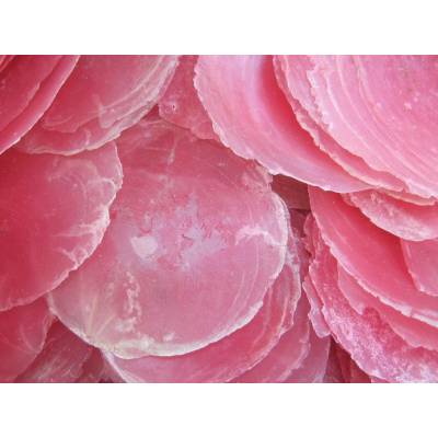 Dijk Natural Collection Mušle Capiz shell rosa 100 g
