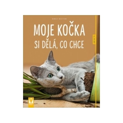 Moje kočka si dělá, co chce - Jak na to