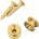 D'Addario Planet Waves PWEP 302 Gold Strap-Lock/Страп лок (PWEP302)