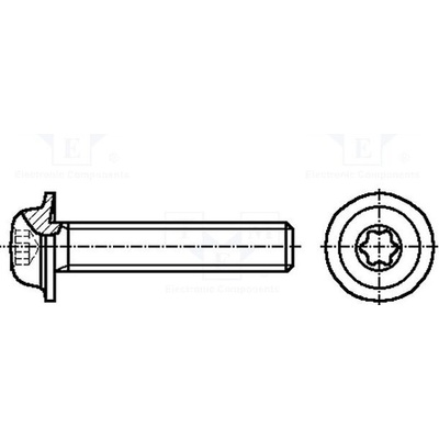 BOSSARD 3060960 Šroub; s límcem; M5x12; 0,8; Hlava: kulatá; Torx®; TX25 – Sleviste.cz