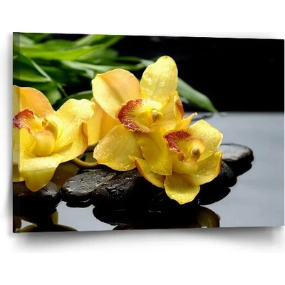 Sablio Obraz Žlté Orchidey - 90x60 cm