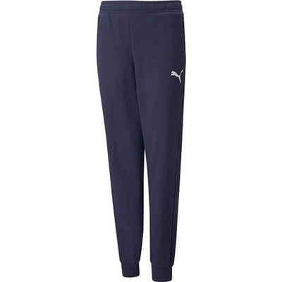 Puma Active Sports Sweatspant