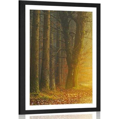 Plakát s paspartou cesta v lese - 60x90 white