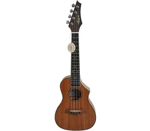 Aiersi SU024TC