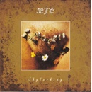 XTC: SKYLARKING Remastered CD
