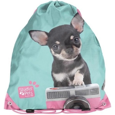 Studio Pets Čivava s foťákem