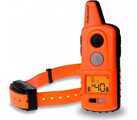 DogTrace d-control professional 1000 orange