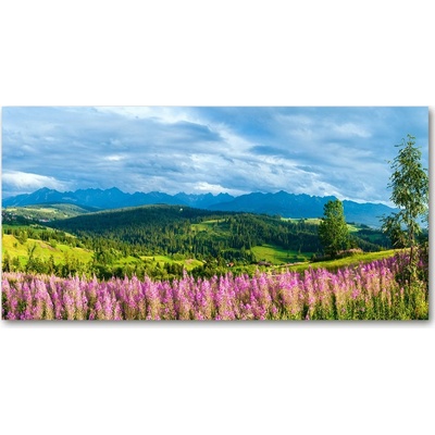 Foto obraz sklo tvrzené Levanduľa v horách 100x50 cm
