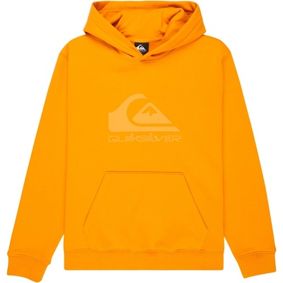 Quiksilver Детски суичър Quiksilver Kid's Comp Logo Hoodie - Mineral Yellow - размер 12 (US) (704-4968-0713)