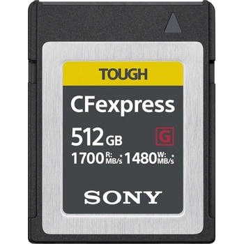 Sony 512 GB CEBG512