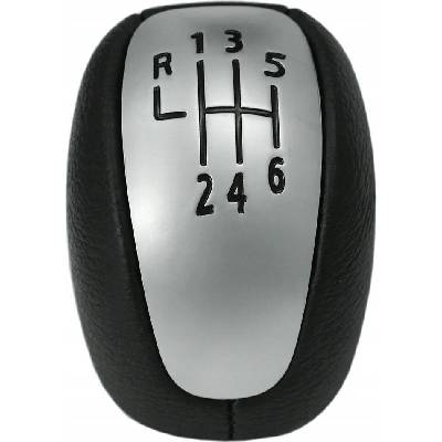Renault řadicí páka 6 rychlost