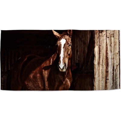 Sablio Uterák Kůň ve stáji 50 x 100 cm