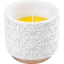 MagicHome Citronella 110x100 mm