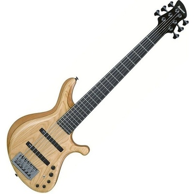 Ibanez G106