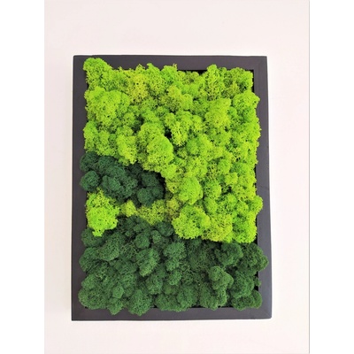 Dvojfarebný machový obraz 40cm x 30cm v čierom ráme