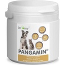Dromy PANGAMIN 800 tablet