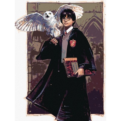 Zuty Harry potter a hedvika v bradavicích 40 x 50 cm bez rámu a bez vypnutí plátna 8596530132202