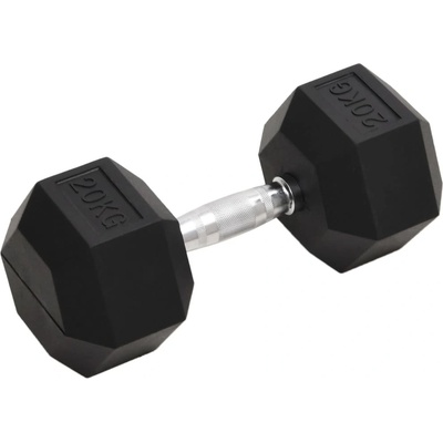 vidaXL litina Jednoruční činka 20 kg
