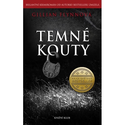 Temné kouty - Gillian Flynnová