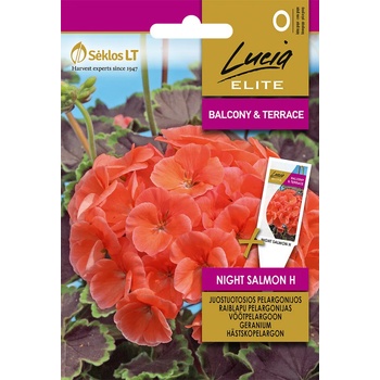 Image 1 of Seklos Мушкато Нощна Сьомга F1 Geranium