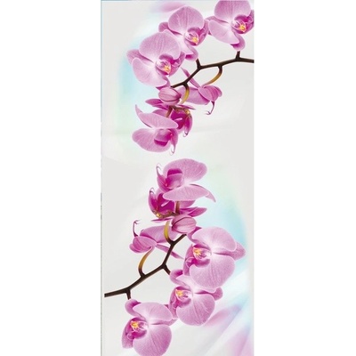 Preinterier DV0047 Fototapeta na stenu Ružové kvety vlies 91cm x 211cm