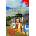 Colloquial Portuguese of Brazil | Viviane Gontijo