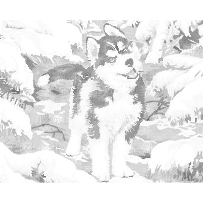 ZUTY Bodkovanie - MALÝ HUSKY Rámovanie: bez rámu a bez vypnutia plátna, Rozmer: 40x50 cm