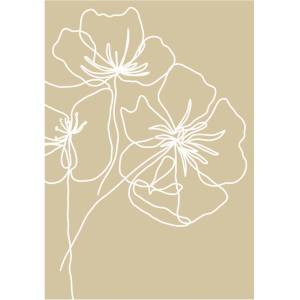 Veronika Boulová Постер 29x41 cm White Poppy - Veronika Boulová (vboulova.31)